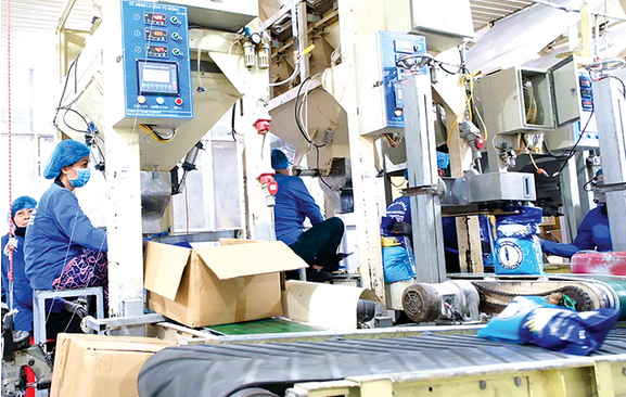 Cần Thơ: Tích cực chuẩn bị cho TĐT kinh tế năm 2026